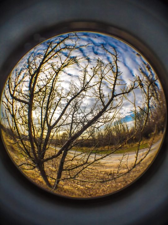wild-autumn-rural-landscape-fish-eye-photography_811250-3943